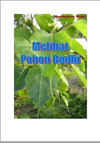 Image of Melihat Pohon Boddhi