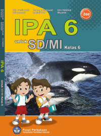 Image of IPA 6 (buku umum)