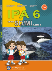 IPA 6 (buku umum)