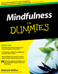 Mindfulness FOR DUMmIES