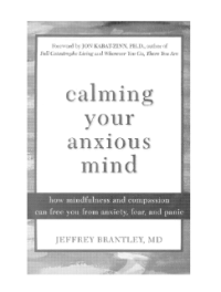 Image of Calming Yours Anxious Mind