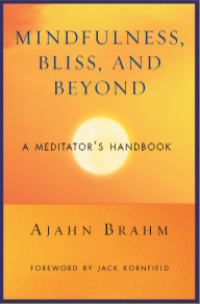 Image of MINDFULNESS, BLISS, AND BEYOND