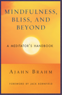 MINDFULNESS, BLISS, AND BEYOND