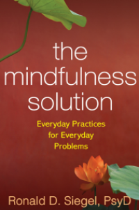 Image of the mindfulness solution