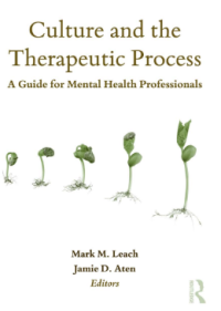 Image of Culture and the Therapeutic Process
