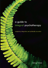 Image of A Guide to Integral Psychotherapy