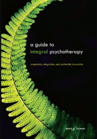 A Guide to Integral Psychotherapy