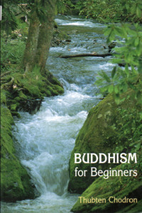 Buddhism for Beginners