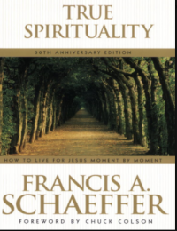 Image of True Spirituality