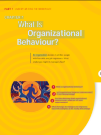 Image of What Is Organizational Behaviour