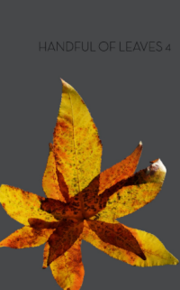 Image of Handful Of Leaves