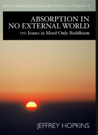 Image of Absorption In No External World 170 Issues In Mind-Only Buddhism