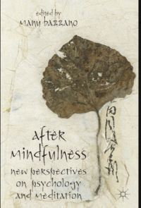 Image of After Mindfulness New Perspectives On Psychology And Medation