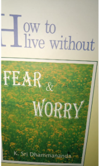 Image of How To Leve Without: Fear & Worry