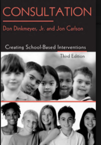 Image of Consultation  Creating School based Interventions