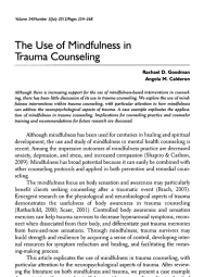 Image of The Use Of Mindfulness In Trauma Counselinmg