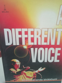 Image of A Differnt Voice
