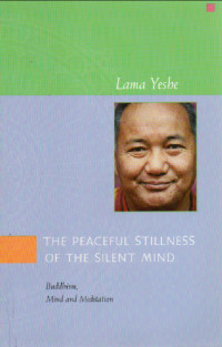 The Peaceful Stillness of the Silent Mind