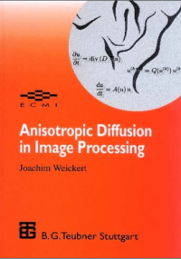 Image of Anisotropic Diffusion
in Image Processing