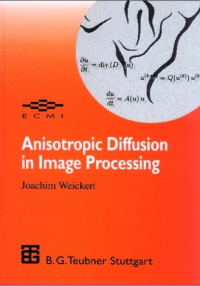 Anisotropic Diffusion
in Image Processing