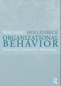 Organizational Behavior Securing Competitive Advantage