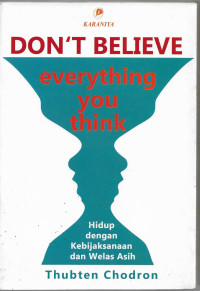Image of Don't Believe everything You Think