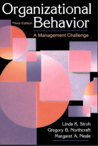 Image of ORGANIZATIONAL BEHAVIOR  A Management Challenge