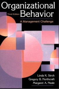 ORGANIZATIONAL BEHAVIOR  A Management Challenge