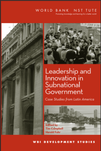 Image of Leadership and Innovation in Subnational Government