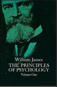 Image of THE PRINCIPLES OP PSYCHOLOGY   Vol l