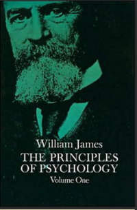 THE PRINCIPLES OP PSYCHOLOGY   Vol l