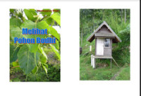 Image of Melihat Pohon Bodhi