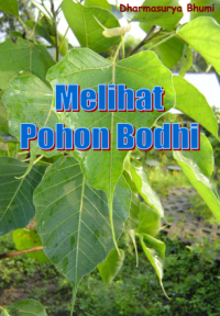 Melihat Pohon Bodhi