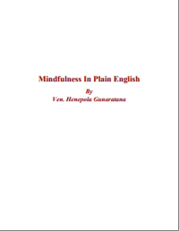 Image of Mindfulness In Plain English