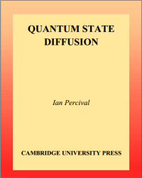 Image of QUANTUM STATE
DIFFUSION