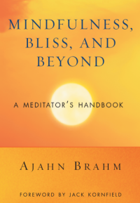 Image of MINDFULNESS, BLISS, AND BEYOND