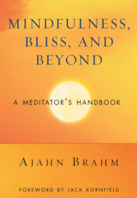 MINDFULNESS, BLISS, AND BEYOND