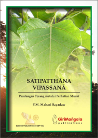 Image of SATIPATTHâNA VIPASSANâ