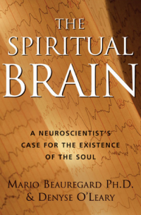 Image of T H E SPIRITUAL BRAIN