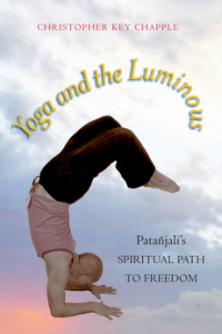 Yoga and the luminous