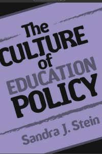 Image of The Culture of Education Policy
