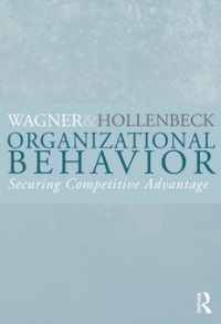 Image of Organizational Behavior