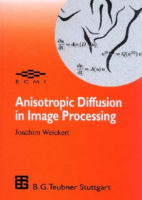 Image of Anisotropic Diffusion in Image Processing