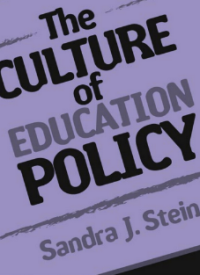 Image of The Culture of Education Policy