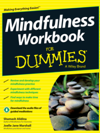 Image of Mindfulness Workbook FOR DUMmIES