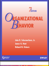 Image of Organizational Behavior